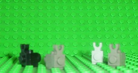 bunny2.jpg