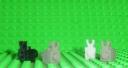 bunny2.jpg