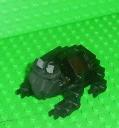 mole2.jpg
