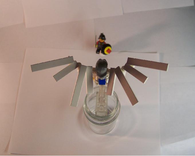 bird-man3.jpg
