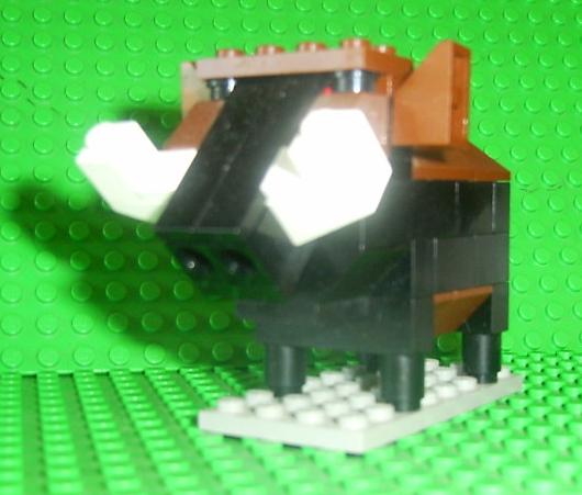 boar12.jpg