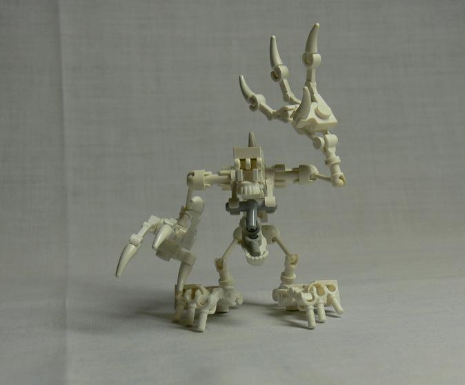 skeleton2.jpg