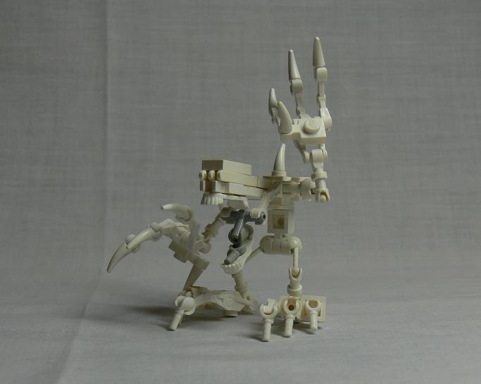 skeleton3.jpg