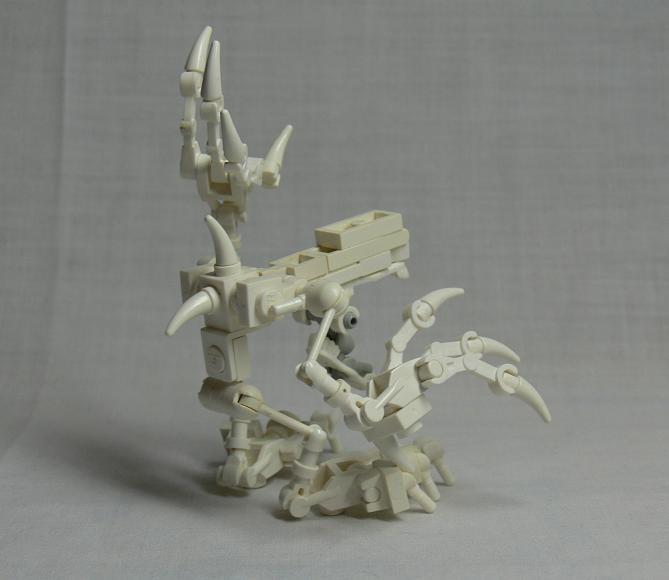 skeleton4.jpg