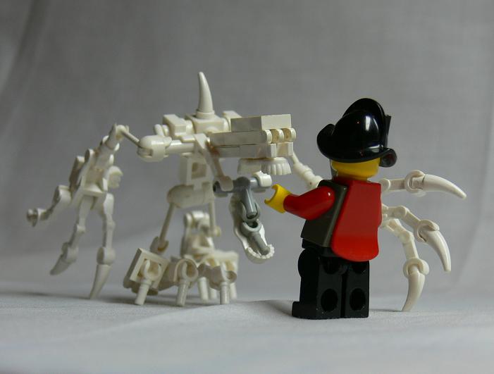 skeleton6.jpg