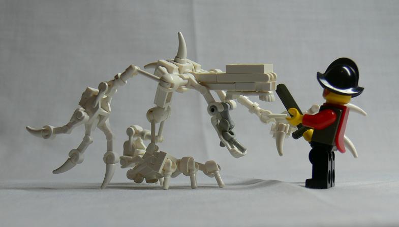 skeleton7.jpg