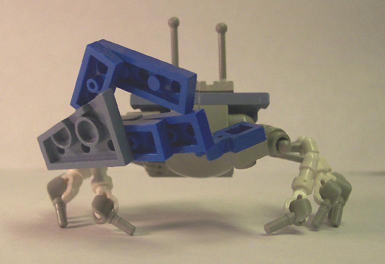 crab1.jpg