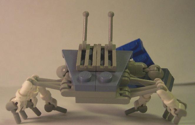 crab2.jpg