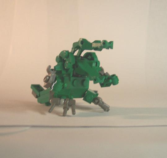 crocodile1.jpg