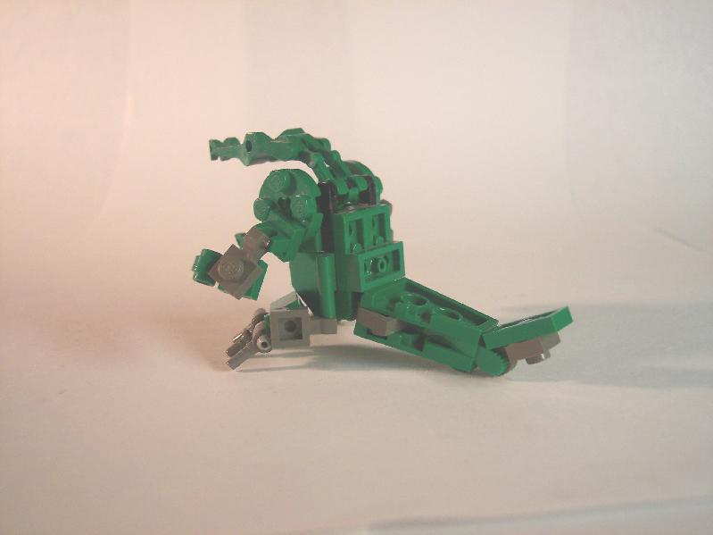 crocodile2.jpg