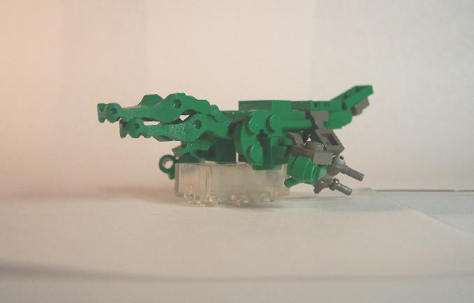 crocodile5.jpg