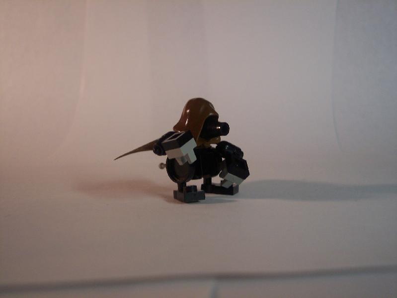 water-rat1.jpg