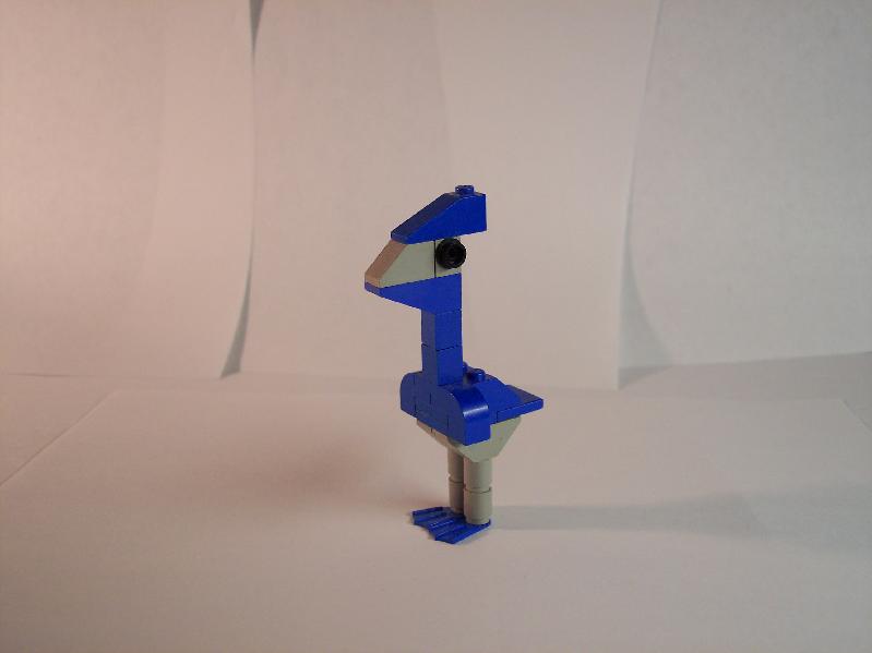 bird.jpg