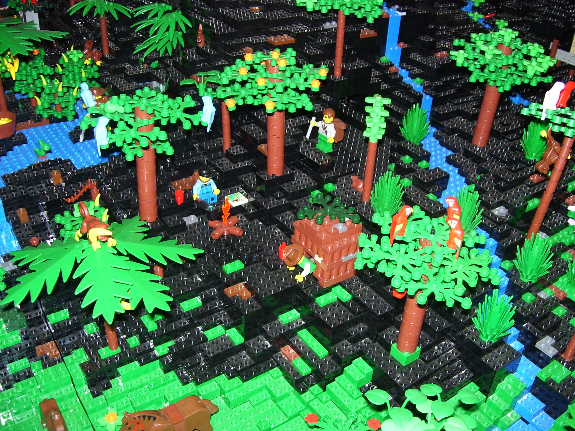 151.jpg