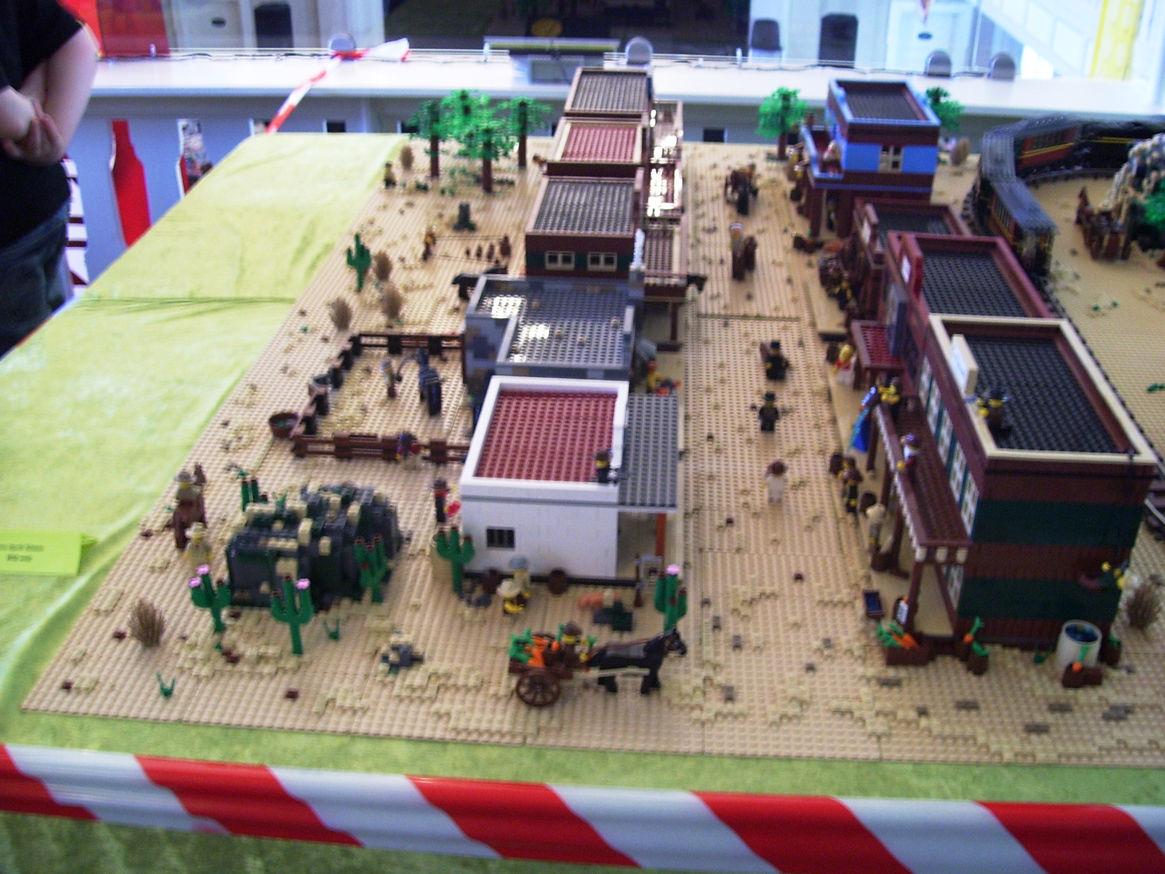 100_2994.jpg