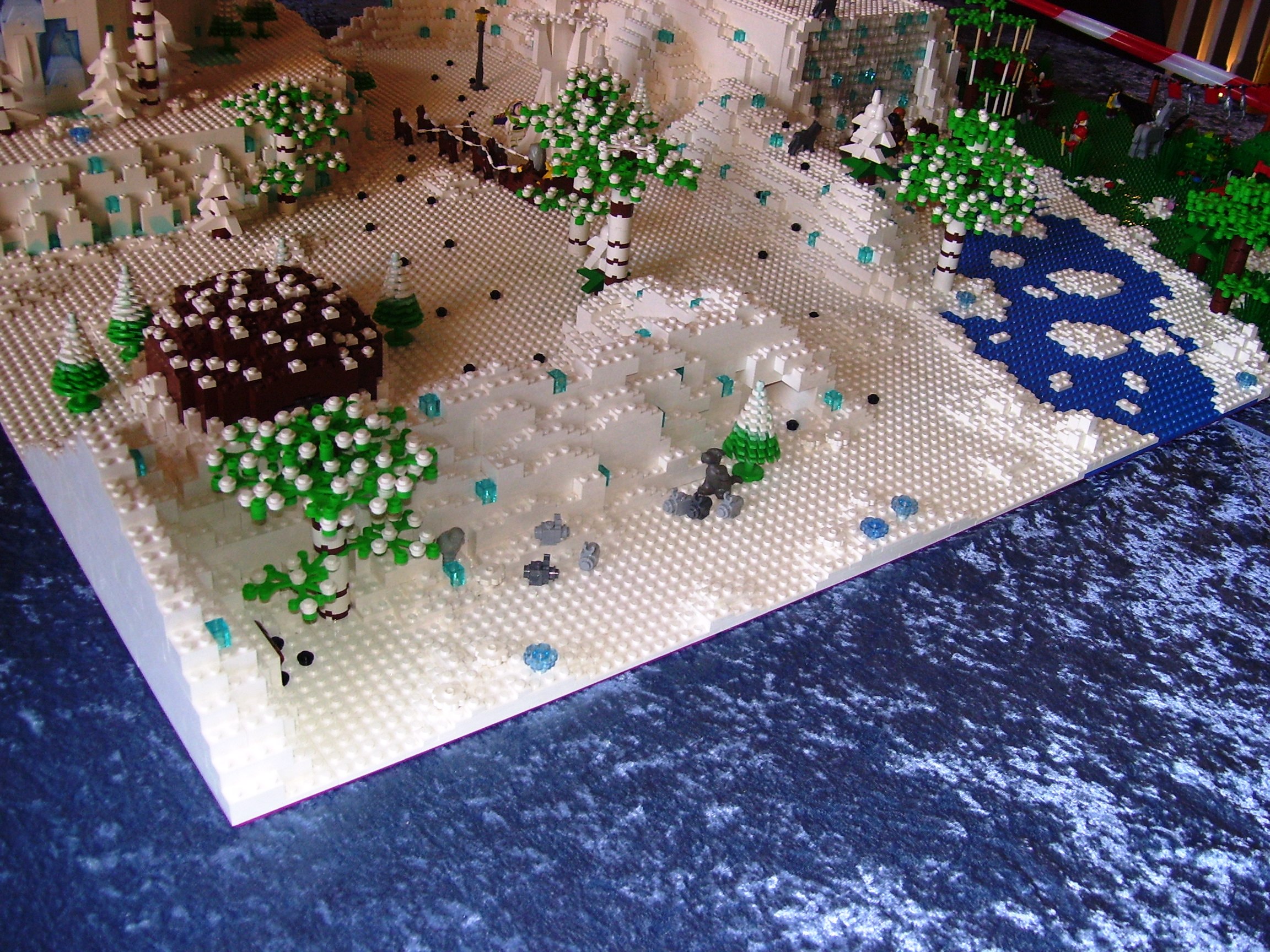 100_3009.jpg