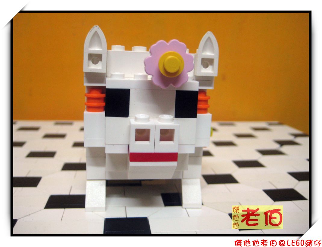 aimg_5965a.jpg