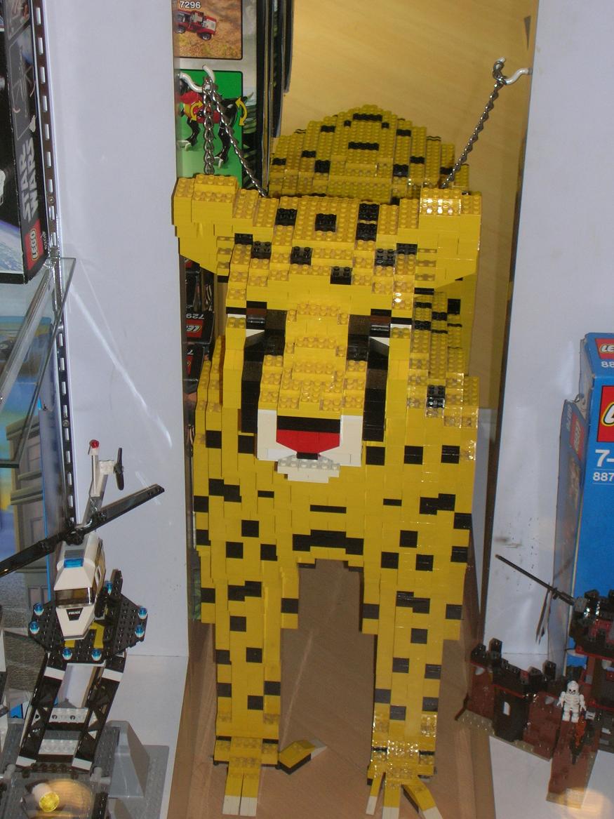 dscn2197a.jpg