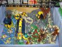 dsc01759.jpg