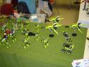 dsc01787.jpg