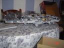 dsc00064_lr.jpg