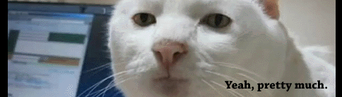 prettymuch.gif