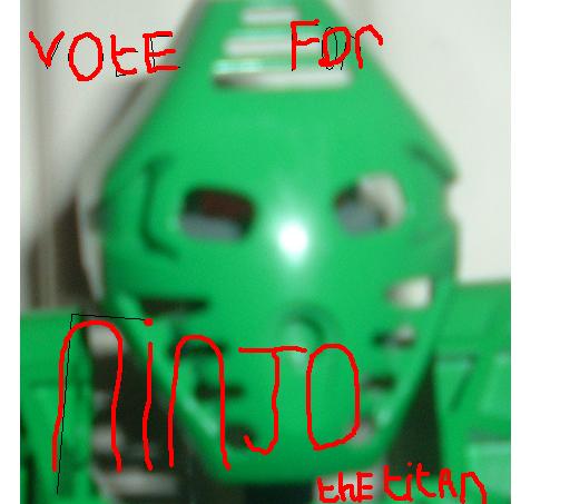 ninjo_vote.jpg