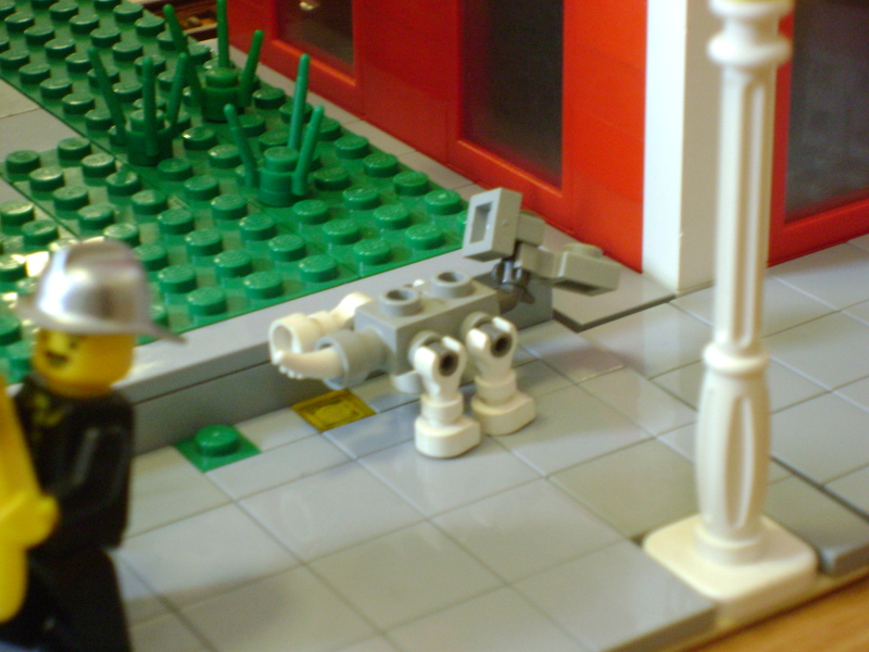 dsc01626.jpg