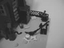dsc00748.jpg