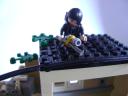 dsc01197.jpg