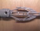 dsc00084.jpg