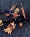 dsc00011.jpg