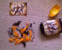 dsc00015.jpg