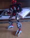 dsc00015.jpg