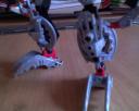 dsc00020.jpg