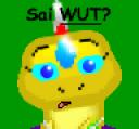 rahk_sez_wut.png