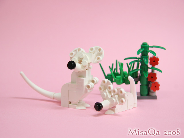 mouse_0b.jpg