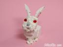 happyrabbit_1b.jpg