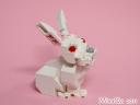 happyrabbit_1d.jpg