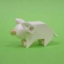 Pig01