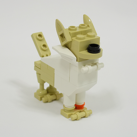 chihuahua01a.jpg