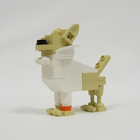 chihuahua01d.jpg