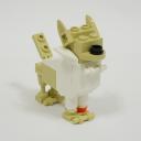 Chihuahua01