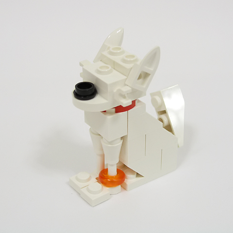 chihuahua02a.jpg