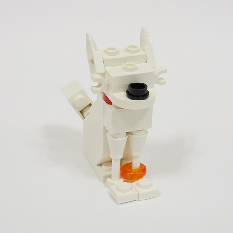 chihuahua02b.jpg