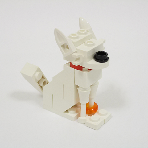 chihuahua02c.jpg