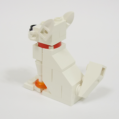 chihuahua02d.jpg