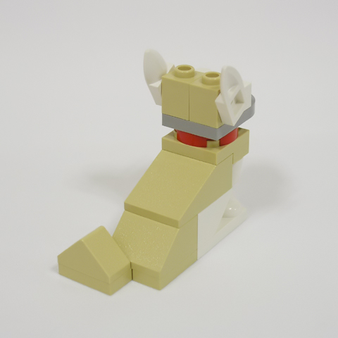 chihuahua03b.jpg