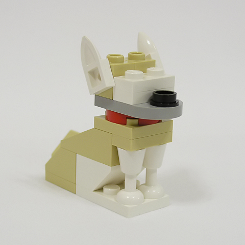 chihuahua03c.jpg