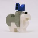 ShihTzu01